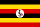 Henry Kigongo Kasujja